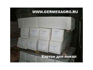 Картон для лекал