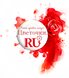 ИП Комарова О.И.