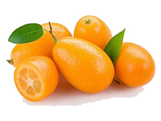  Кумкват 