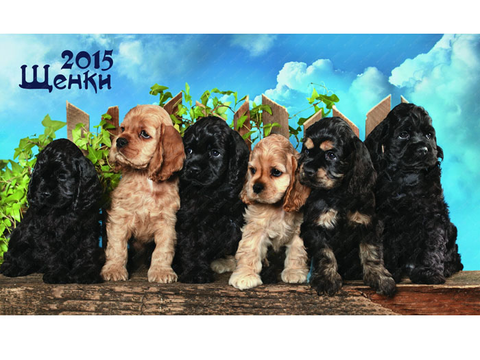 Календарь 2015. Щенки домик
