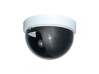 Купольнвя камера EverFocus ED-100