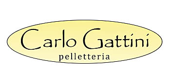 Carlo Gattini
