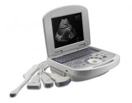 Ветеринарный ультразвуковой сканер AcuVista VT98C