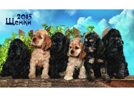 Календарь 2015. Щенки домик