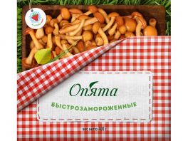  Опята замороженные