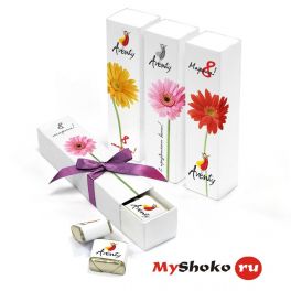 Набор конфет птичье молоко Футляр MyShoko подарок с вашим логотипом