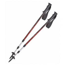 Треккинговые палки BTrace Rock P0525