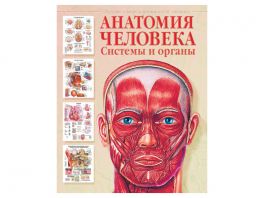 Анатомия человека. Системы и органы