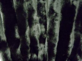 Песец