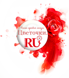 ИП Комарова О.И.