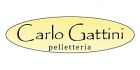 Carlo Gattini