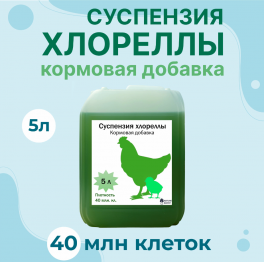 Хлорелла - Кормовая добавка для домашнего скота и птицы