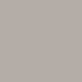 Бумажный фон Colorama 81 Platinum